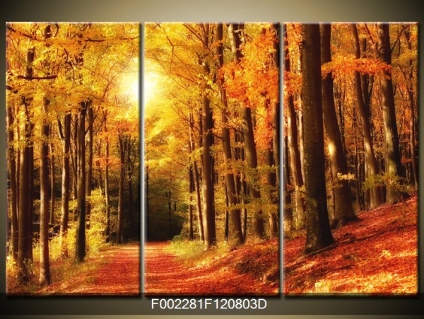 Obraz příroda les na podzim