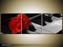 Obraz červená růže na klavíru