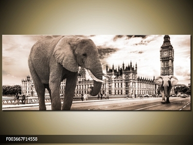 Obraz london slon na ulici