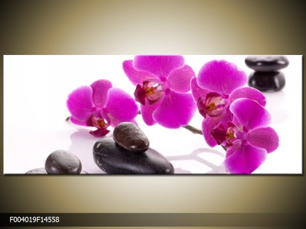Obraz orchidej s kameny