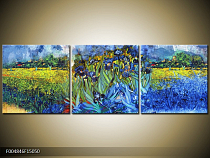 Obraz na plátně abstrakce styl Van Gogh