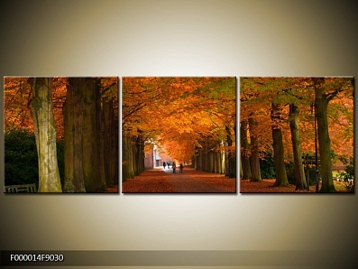 Obraz podzimní stromy alej 90x30cm