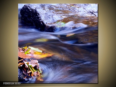 Obraz listí v řece