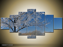 Obraz bílí strom