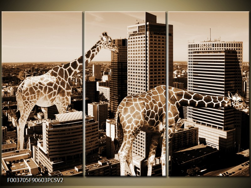 Obraz Žirafy mezi domy