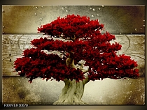 Obraz obraz abstrakce strom