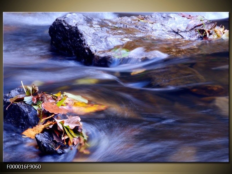 Obraz listí v řece