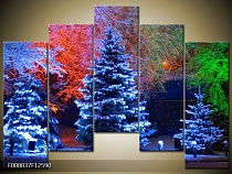 Obraz zasněžené stromy