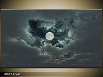 Obraz měsíční svit