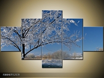 Obraz bílí strom