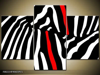 Obraz obraz abstrakce zebra červená