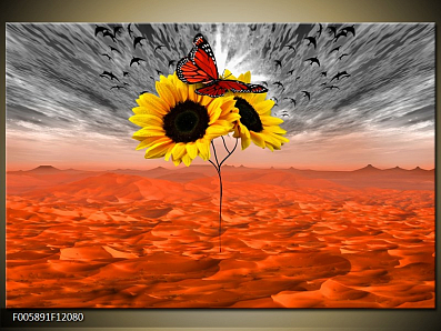 Obraz Slunečnice s motýlem