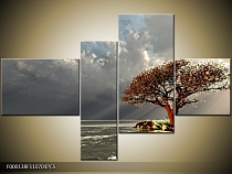 Obraz osamělý strom