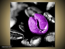 Obraz fialové zrno