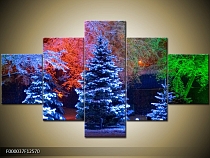 Obraz zasněžené stromy