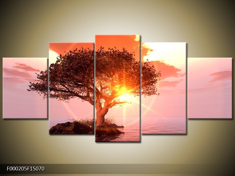 Obraz slunce v koruně stromu