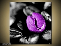 Obraz fialové zrno