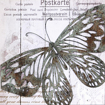 Obraz Motýl a pošta 2