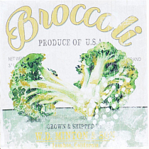 Obraz Brokolice
