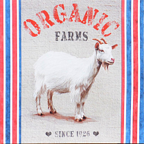 Obraz Organická farma
